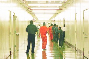 Immigration Detention
